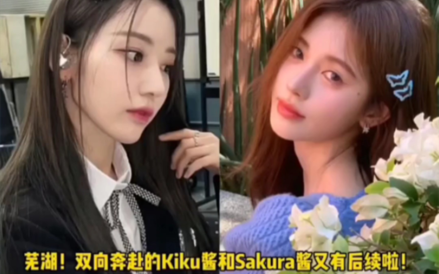 芜湖!双向奔赴的kiku酱和sakura酱又有后续啦!哔哩哔哩bilibili