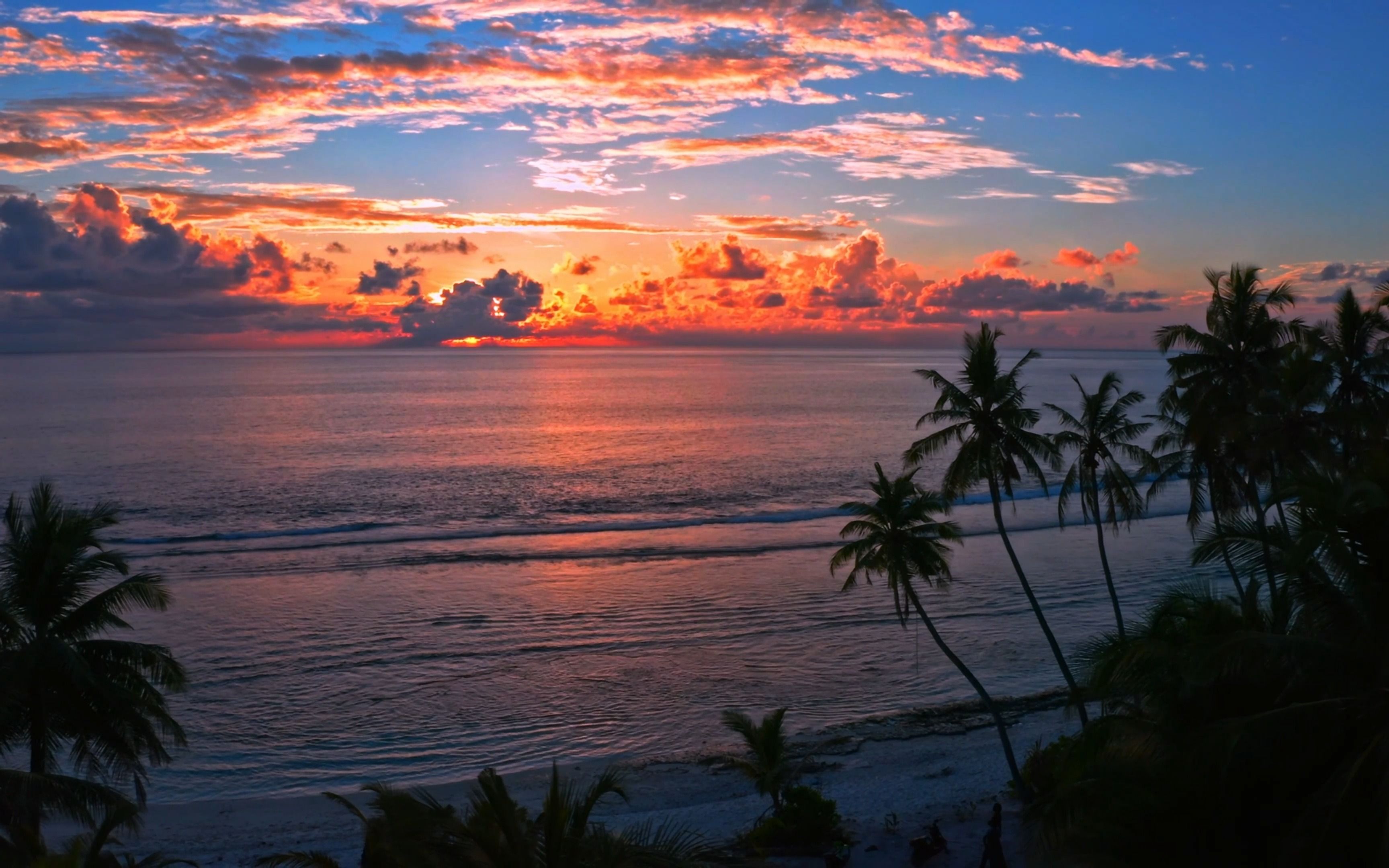 《达尔文》"看海的人,真的在看海吗.