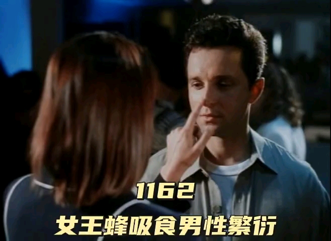 1162 女王蜂夺命吸刹哔哩哔哩bilibili