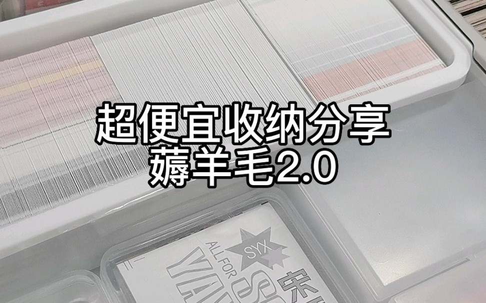 又被我挖到了几个便宜的收纳盒 来薅羊毛哔哩哔哩bilibili