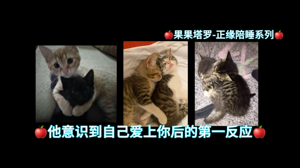 ?果果塔罗-正缘陪睡系列?你正缘意识到自己爱上你之后的第一反应