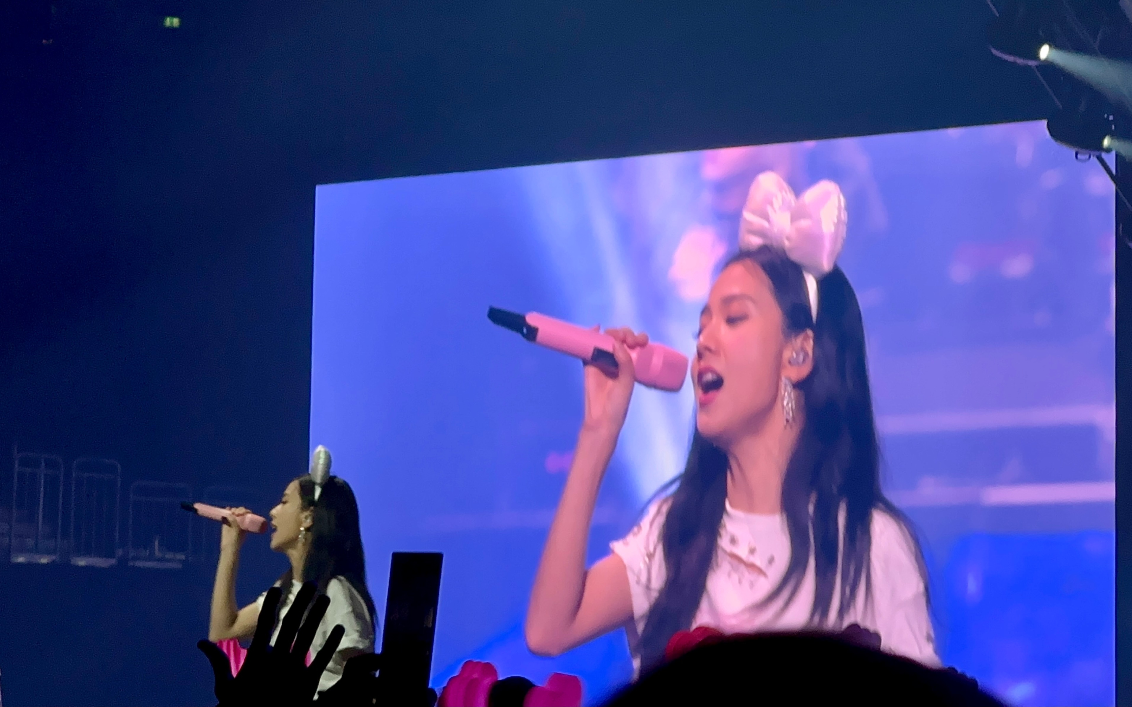 【jisoo金智秀】"我抓住了那场梦中唯一的实物"