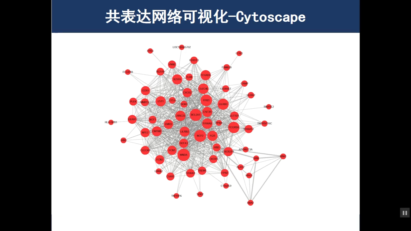 WGCNA共表达网络—核心基因筛选哔哩哔哩bilibili