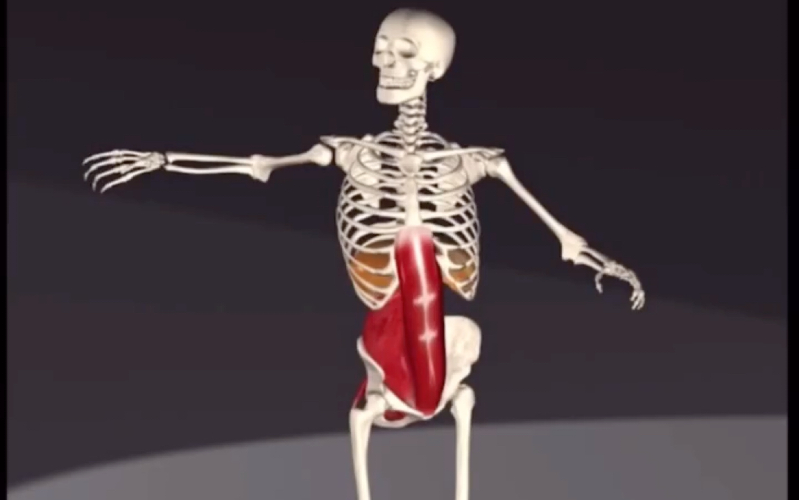 脊柱旋转呼吸运动.