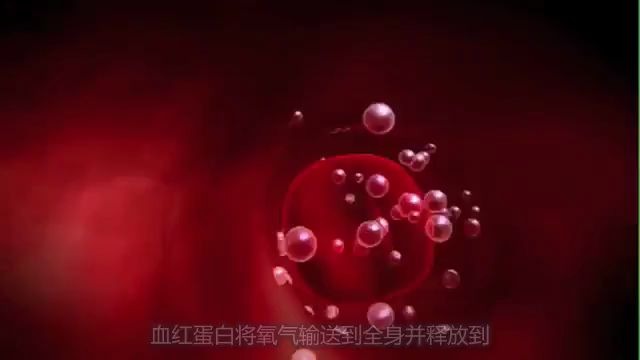 The Role of Red Blood Cells in Anemia 贫血&红细胞英文字幕哔哩哔哩bilibili