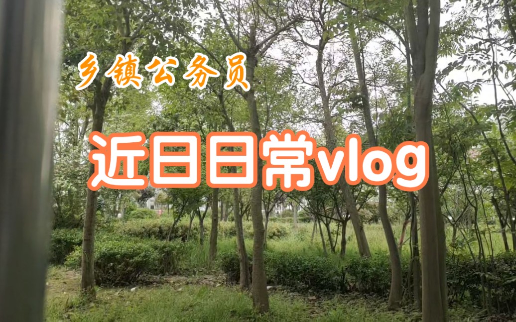 【乡镇公务员】近日工作日常vlog |看看我们镇的天气预报广播 ~哔哩哔哩bilibili