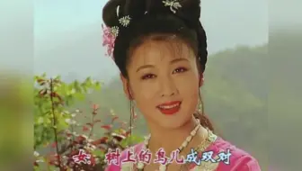 【黄梅戏】《天仙配》选段—夫妻双双把家还 韩再芬