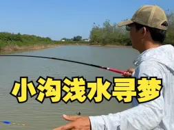 下载视频: 别看沟小水浅，梦想总是要有的