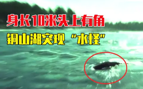 河南铜山湖突现"水怪",双眼如铜铃头上有角,身长10米布满鳞片