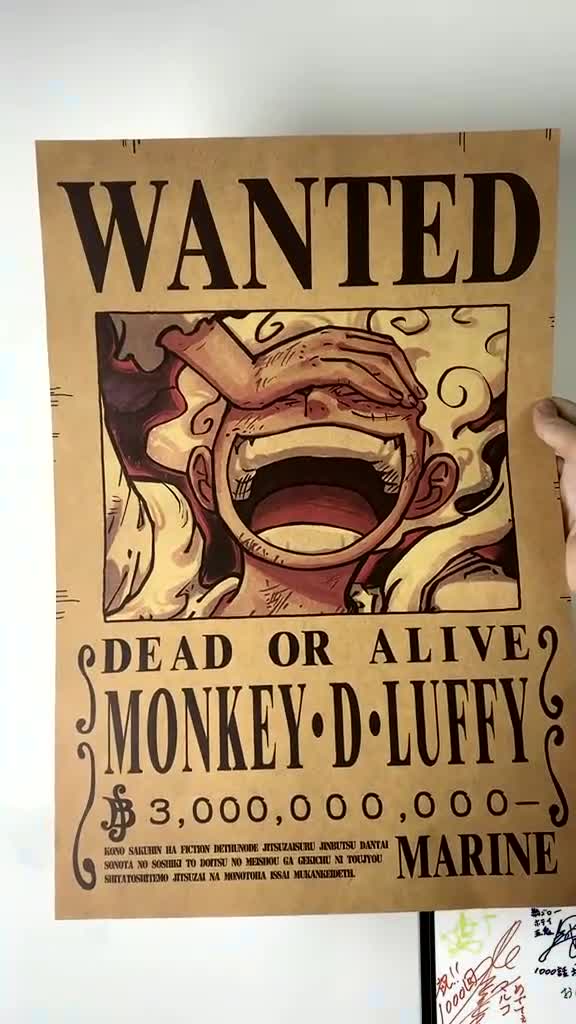 海贼王 有没有发现谁的悬赏令不对劲