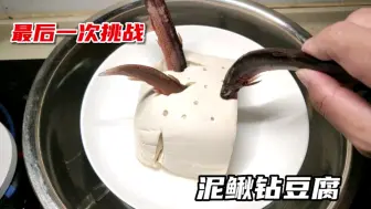 Télécharger la video: 江湖名菜“泥鳅钻豆腐”是否真实？为了验证用尽各种方法，最后竟然成功了！