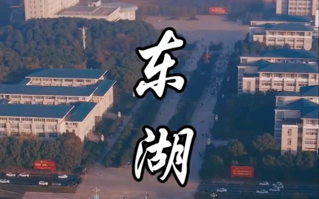 武汉东湖学院哔哩哔哩bilibili