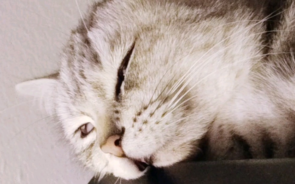 一不小心睡着了