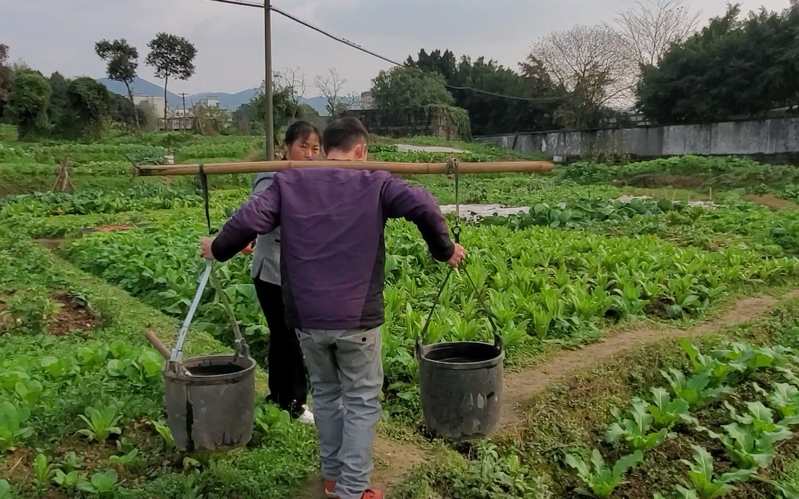 90后小伙帮妈妈挑大粪,妈妈只说了四个字,笑死我了