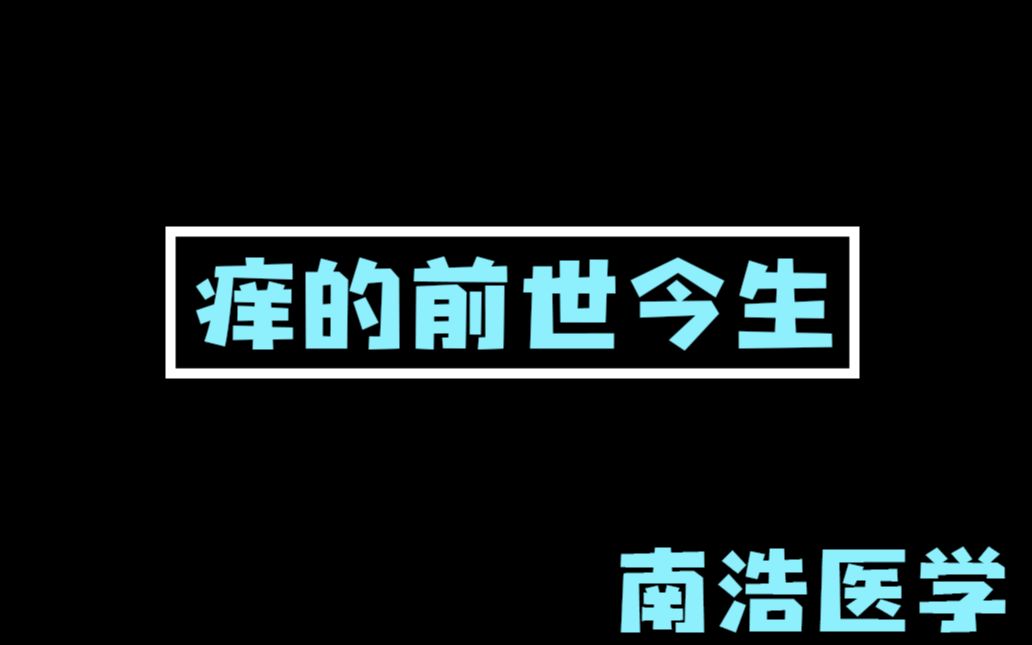 【南浩医学】皮肤干痒怎么办?湿疹瘙痒怎么办?痒的前世今生!哔哩哔哩bilibili