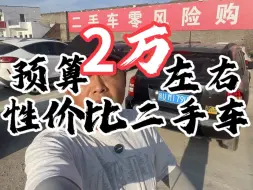 Download Video: 2万左右性价比二手车