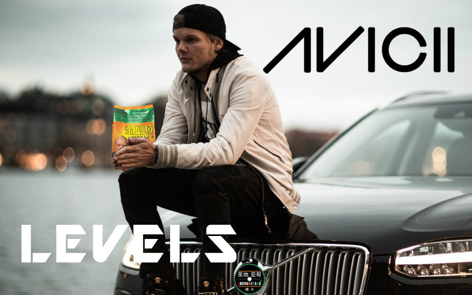 [图]【电音金坷垃特别篇】Levels - Avicii —— 精神病院金坷垃中毒事件！