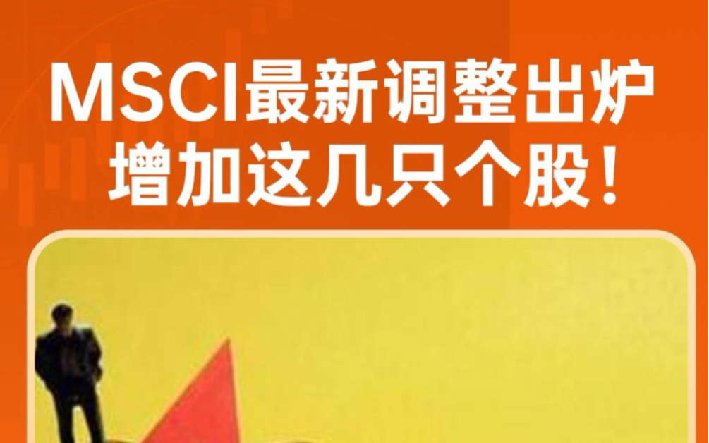 MSCI中国A股指数调整,新增这几只标的哔哩哔哩bilibili