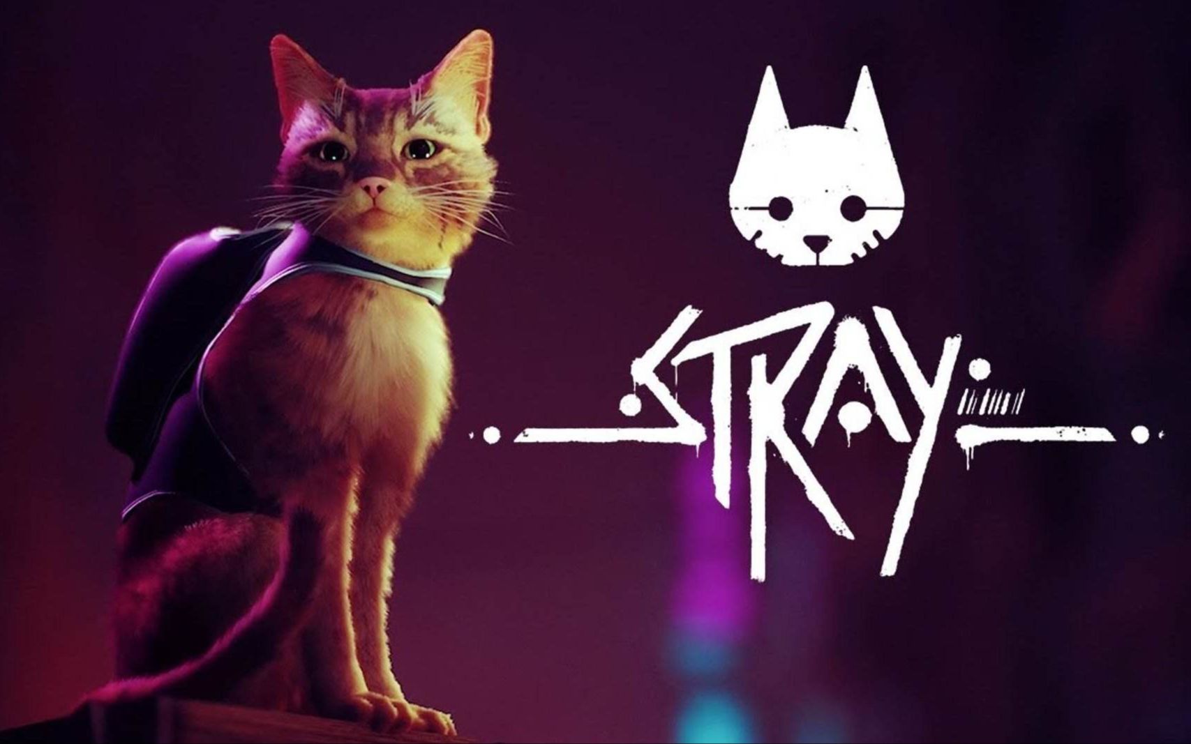 【文真则游戏之旅】赛博猫猫大冒险!《迷失》(Stray)实况解说第五期(蚁村中城)哔哩哔哩bilibili