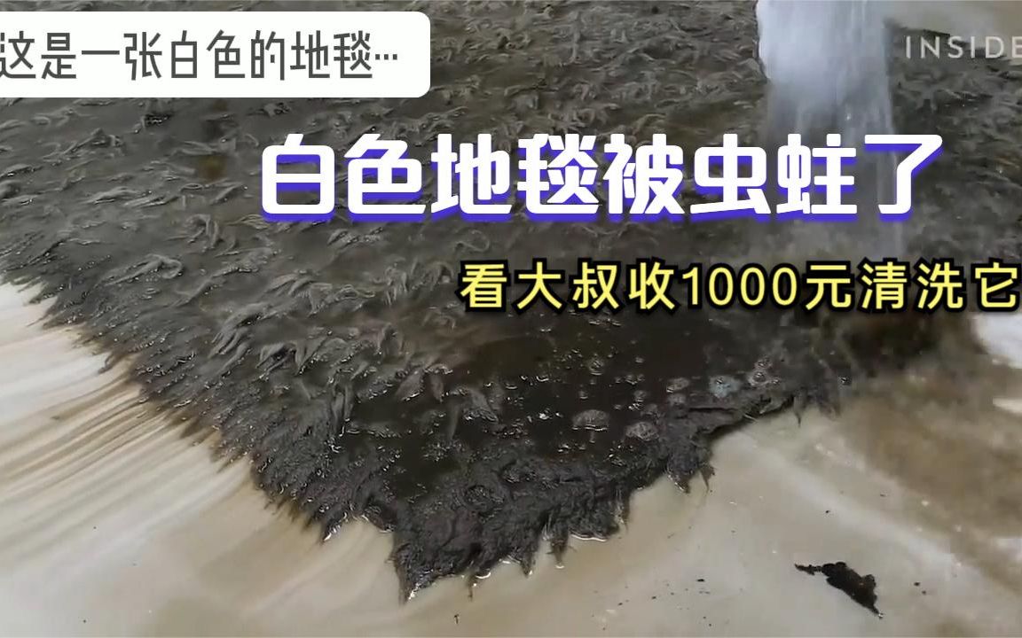 一张一平米的地毯清洗就要收费1000长了虫子的地毯真难清洗