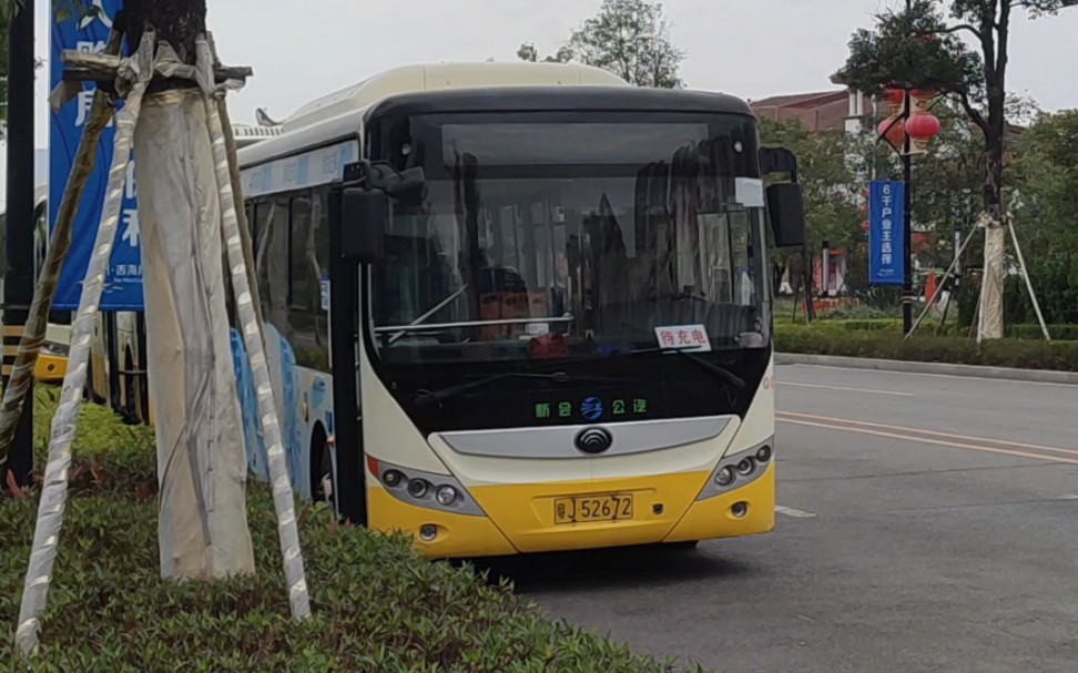 特别专辑之新会公汽车型宇通e8mini,如今用作备用或者定制公交,越来越