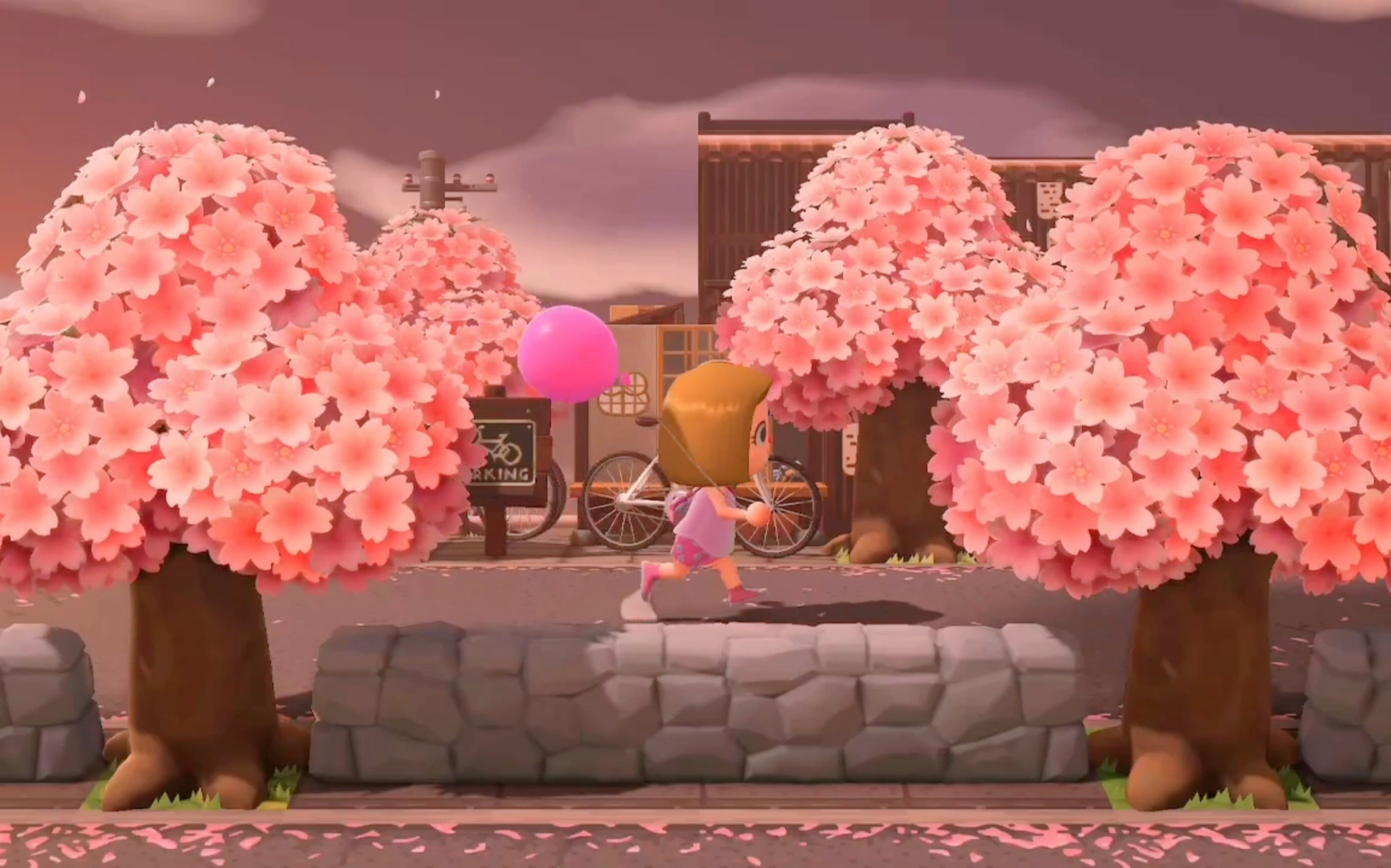 动森|夕阳下的樱花小镇(梦境逛岛vlog)明天动森的樱花季就要来啦,姐妹