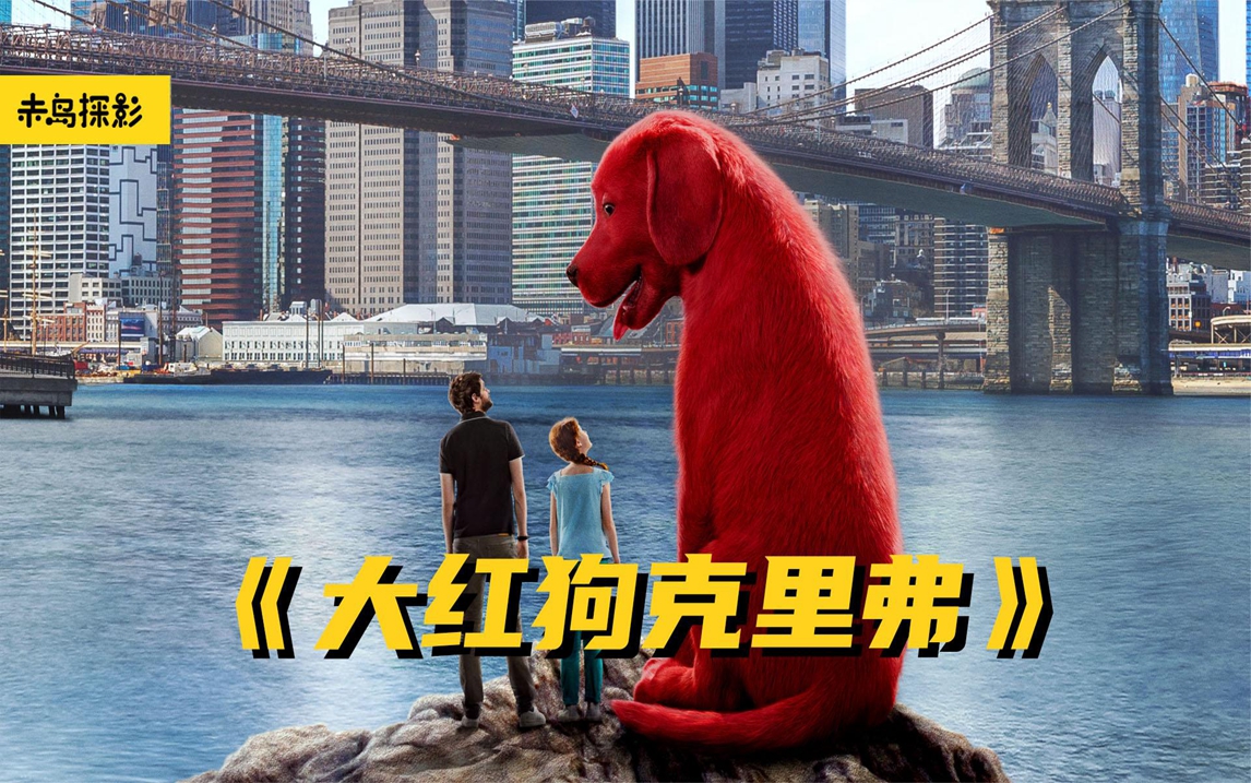 我的天呐,一夜之间,狗咋变成这样了《大红狗克里弗》