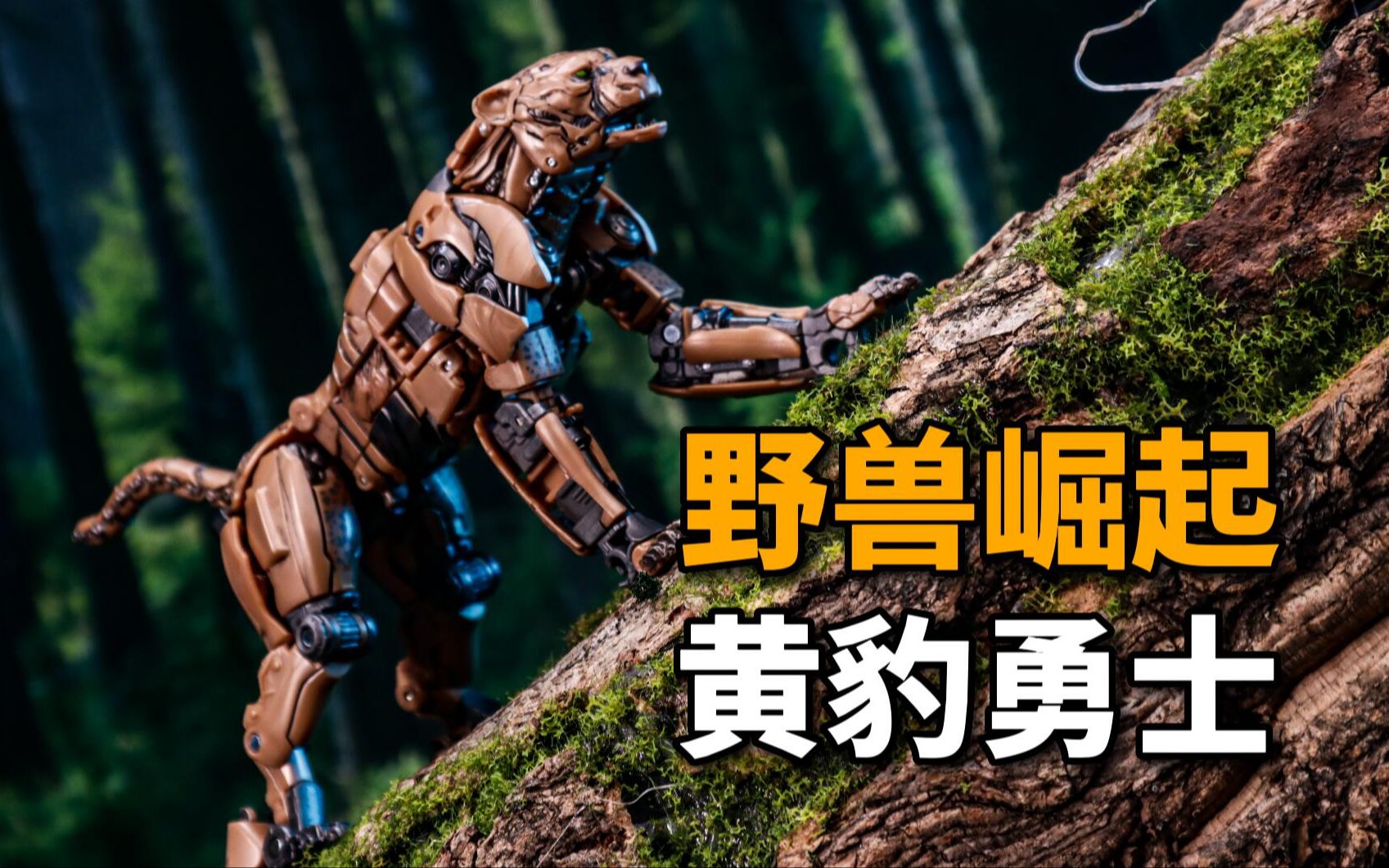 野兽崛起!变形金刚7黄豹勇士玩具测评分享 定格动画