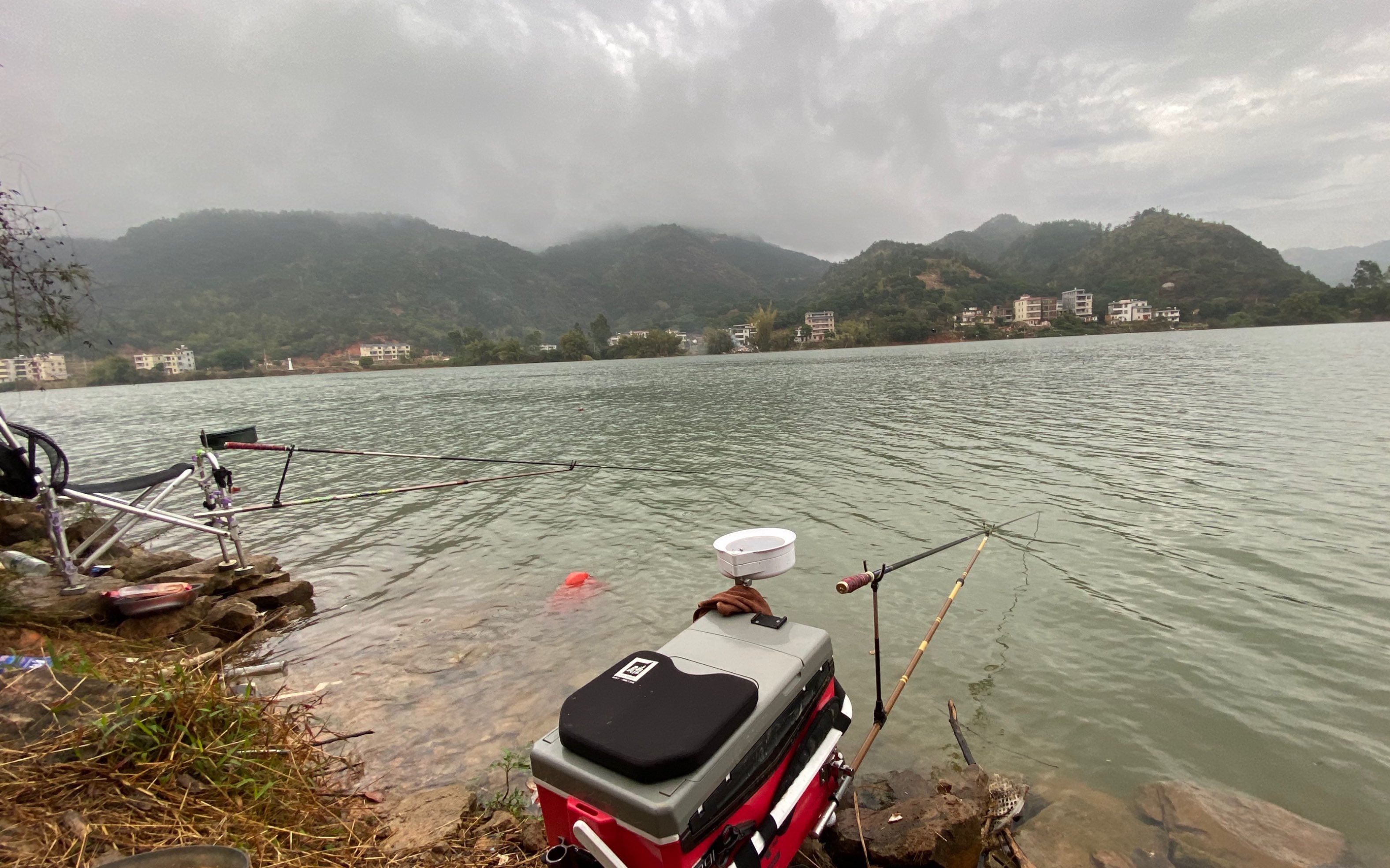 春钓滩,夏钓潭,今天抽把短竿钓边,鱼口真不错!