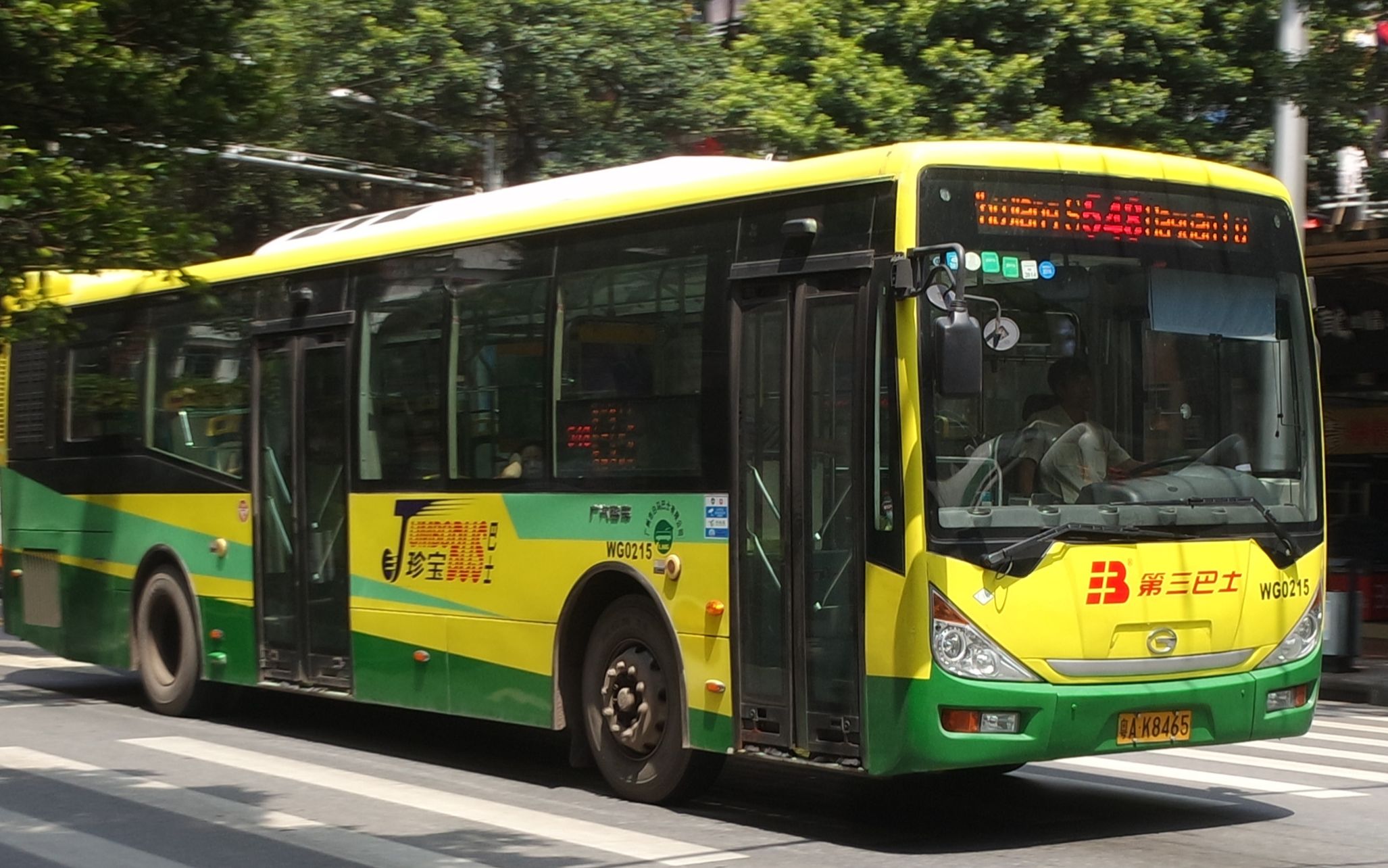 广州版巴士驾驶员第509期_珠江泳场 548 大观路北(大观湿地公园)_哔哩