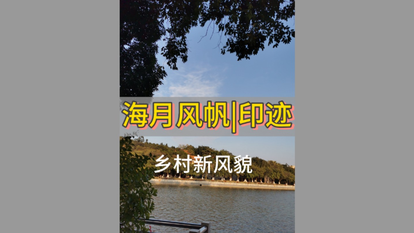 新农村|海月岩|党建文化哔哩哔哩bilibili