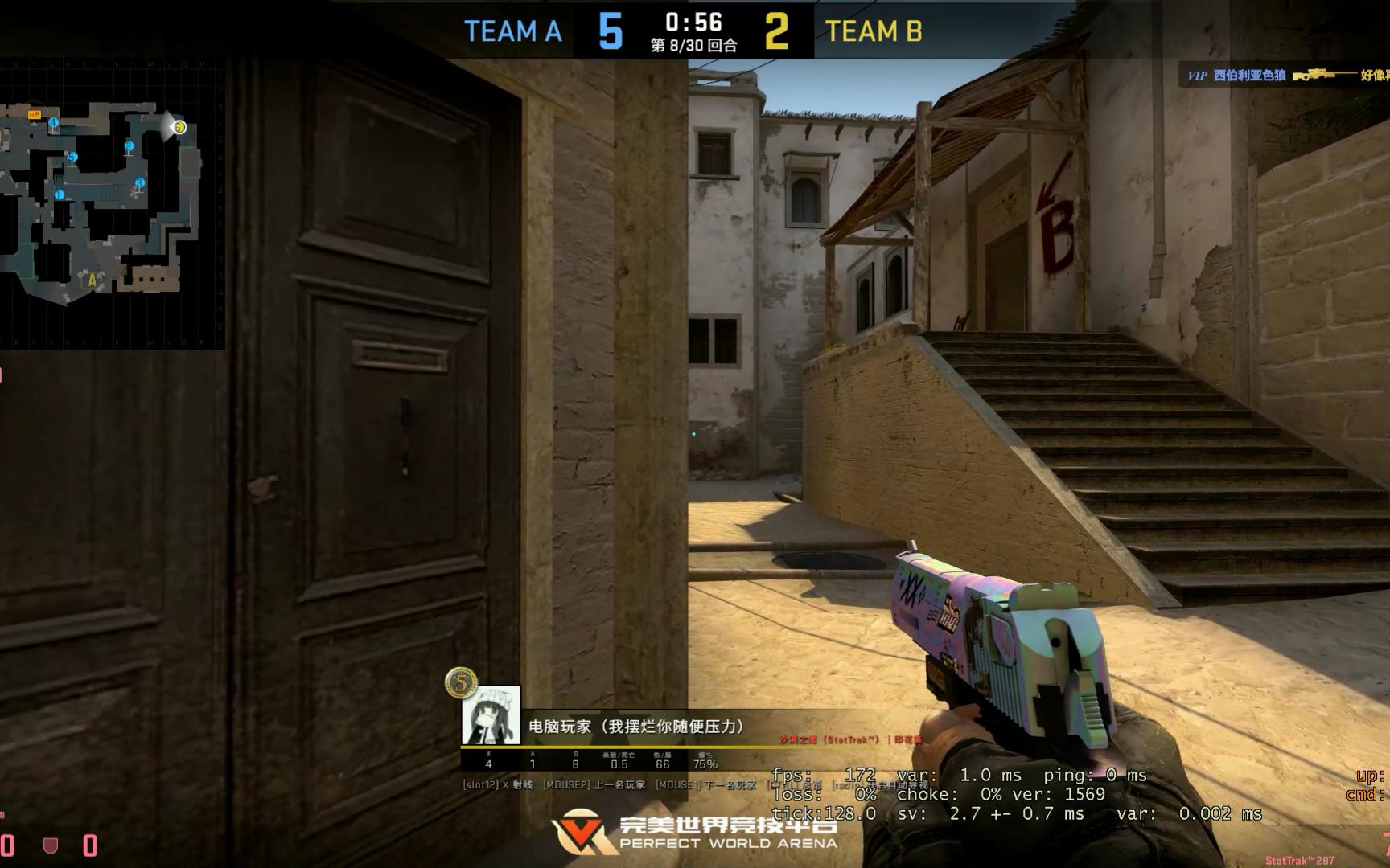 【csgo】无甲沙鹰 1v5 残局