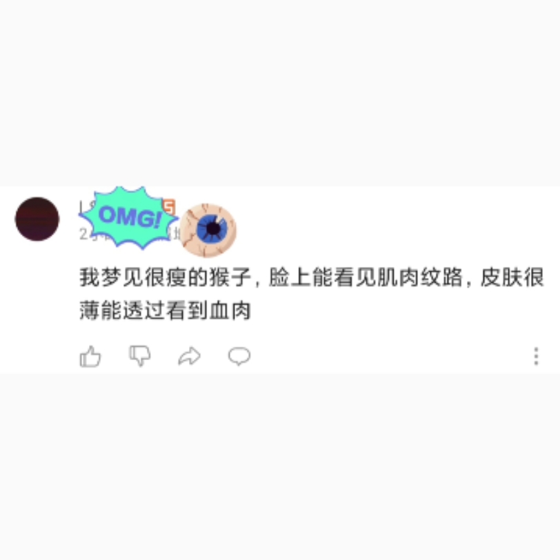 我梦见很瘦的猴子哔哩哔哩bilibili