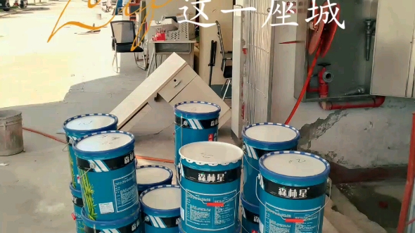 森林星 森林星水漆