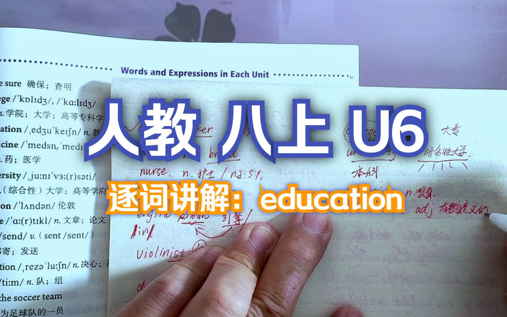 人教版 八上 U6 逐词讲解(十三)education哔哩哔哩bilibili