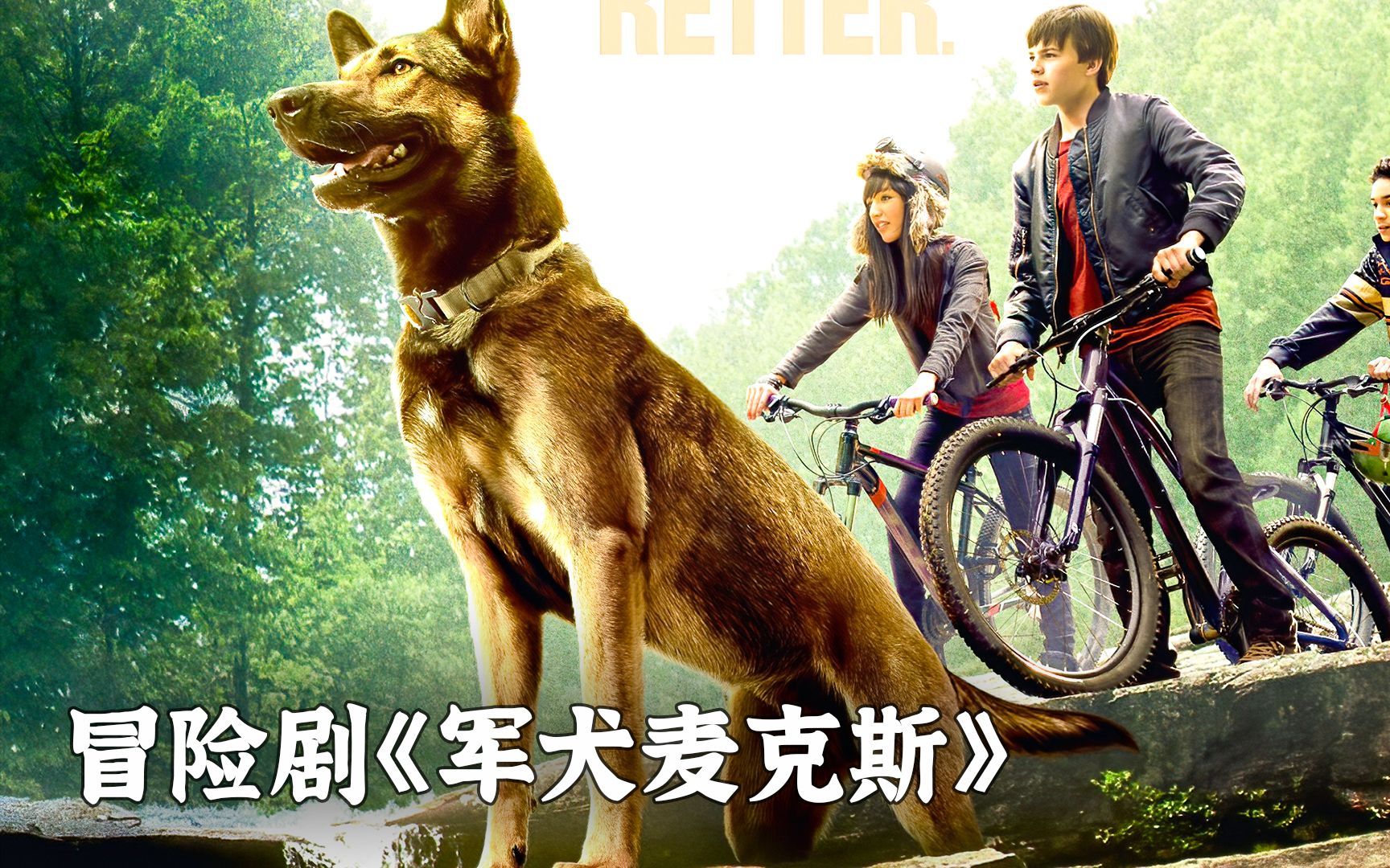 高智商军犬为死去的主人复仇《军犬麦克斯》