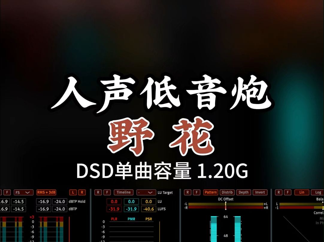 人声低音炮,极品发烧男声,《野花》DSD完整版1.20G,百万调音师专业录音棚制作,顶级hifi无损音质哔哩哔哩bilibili