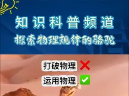 下载视频: 善于总结规律的骆驼