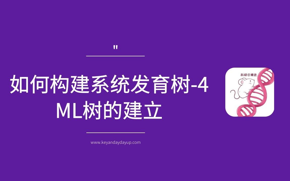 如何构建系统发育树4ML树的建立哔哩哔哩bilibili