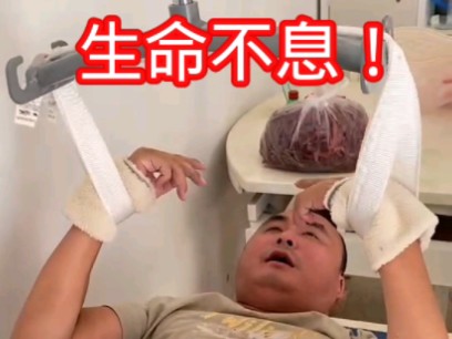 生命不息,战斗不止!哔哩哔哩bilibili