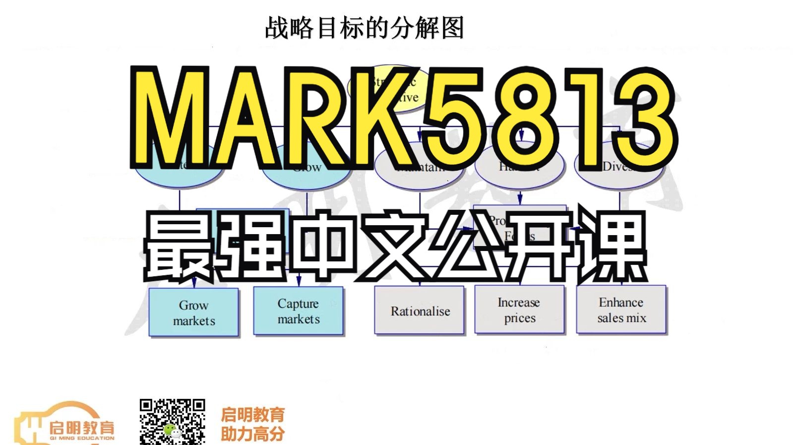 启明教育MARK5813公开课:课程拿分的3个难点‼整学期作业形式梳理‼第一周知识点讲解✅9个key issue+中文版✅NPD✅战略目标的分解图✅UNSW新南...