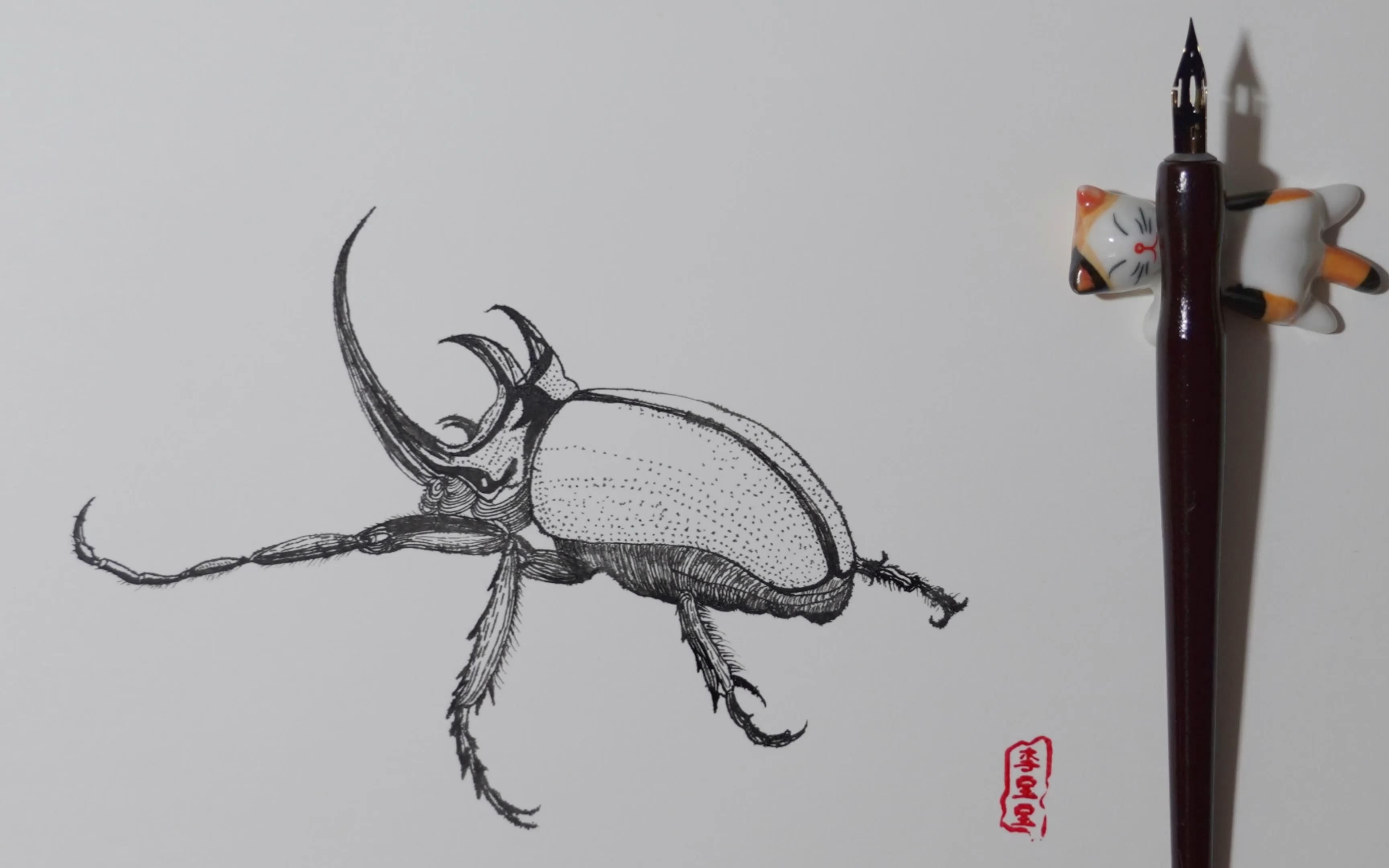 钢笔画:《独角仙》别名又叫双叉犀金龟,昆虫金龟子科,独角仙因雄性有