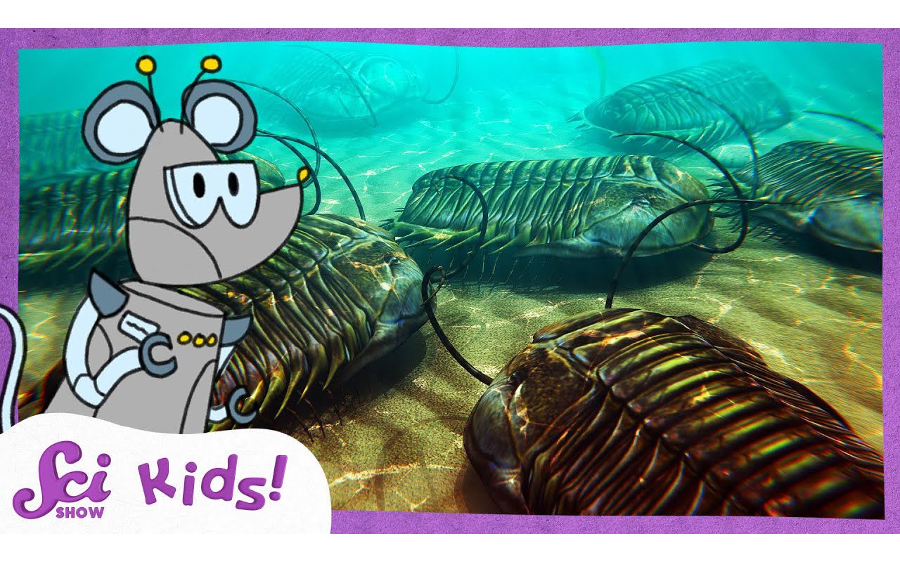 [图]Mysterious Trilobites! The History of Life! SciShow Kids