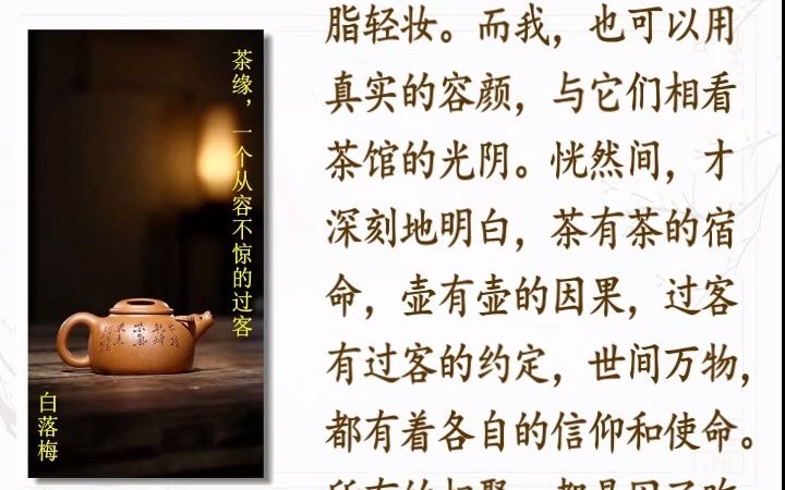 [图]白落梅 茶缘，一个从容不惊的过客