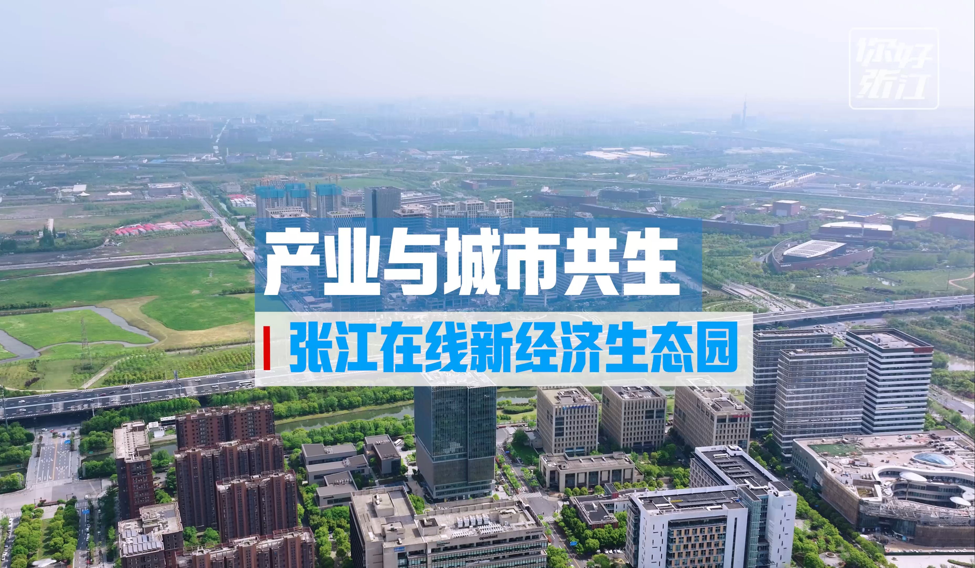 【这里是张江 ——产业与城市共生:张江在线新经济生态园】