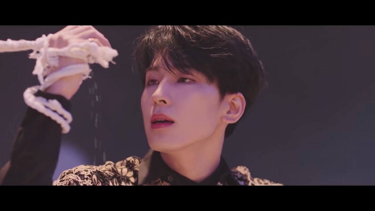 seventeen-fallin flower mv公开