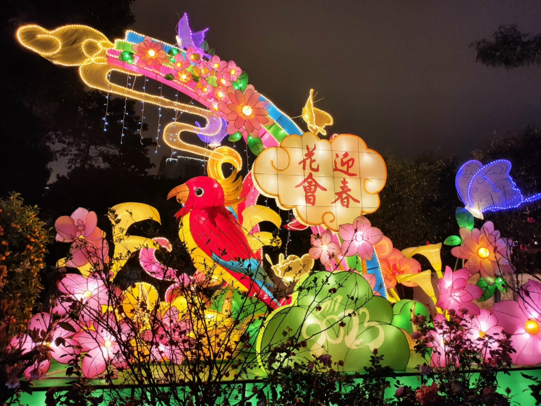 来看广州文化公园的元宵节花灯