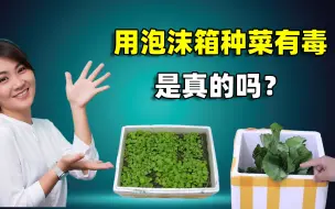 用泡沫箱种菜都说有毒，是真的吗？