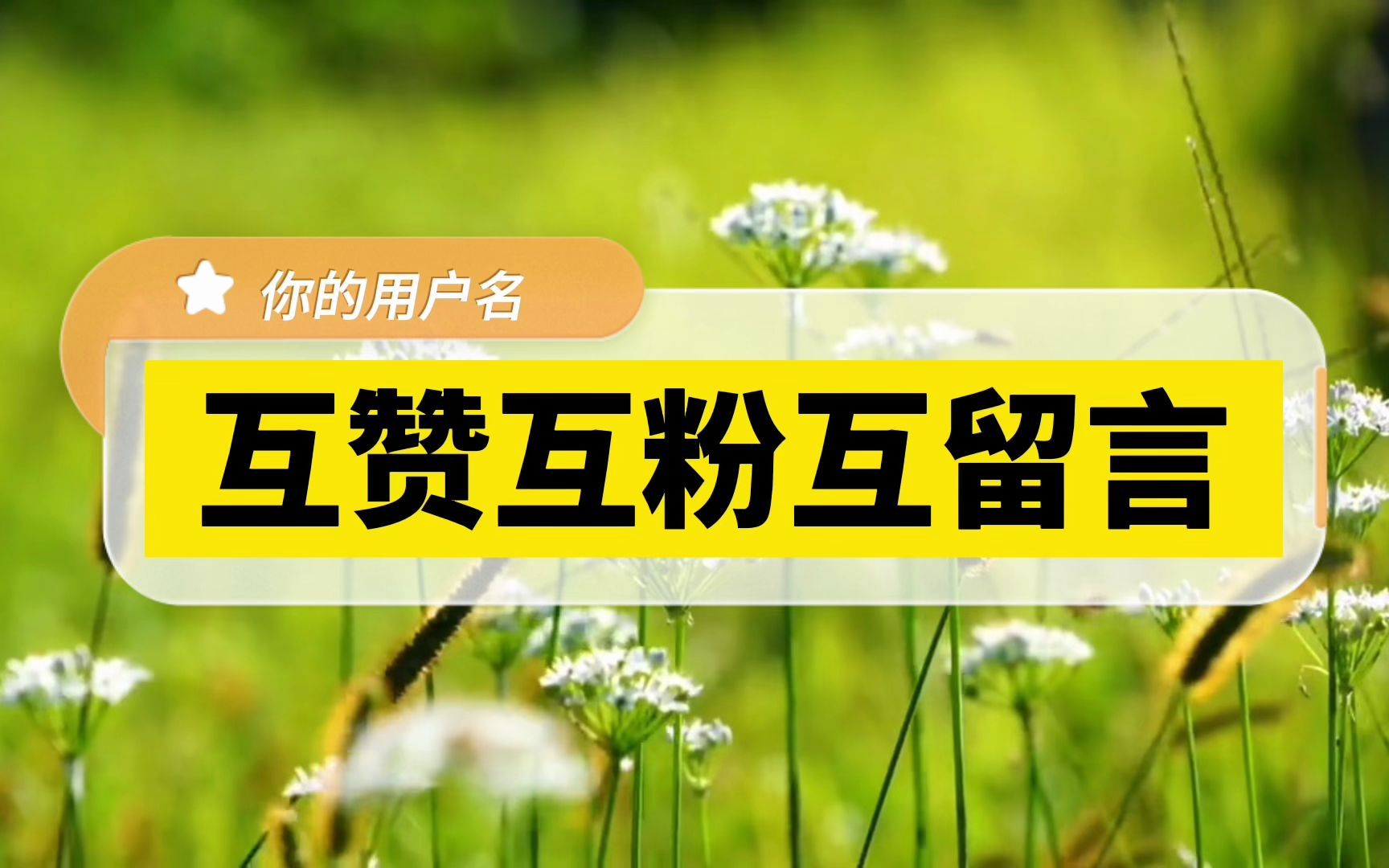 在线点赞(在线点播院)