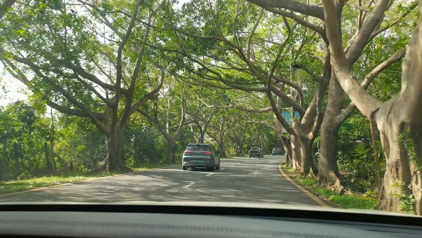 亚龙湾最美公路图片